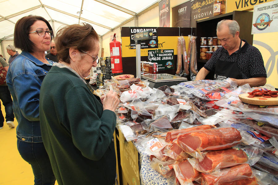 Fotos: Inauguración de la carpa de Tierra de Sabor