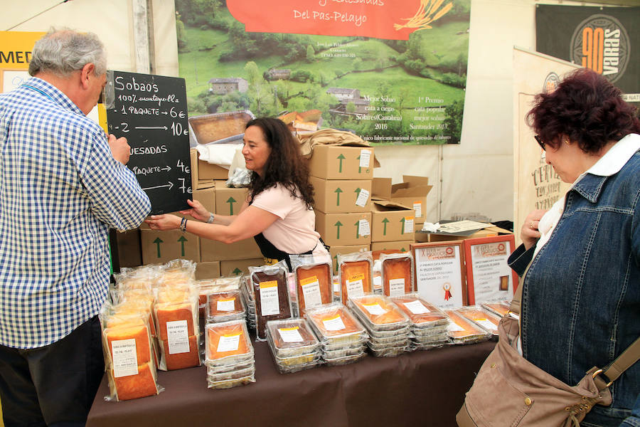 Fotos: Inauguración de la carpa de Tierra de Sabor