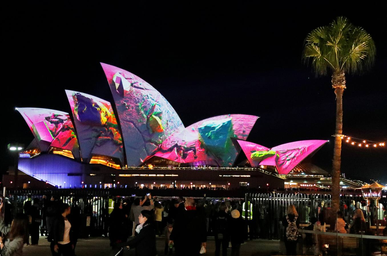 Esculturas digitales en movimiento inspiradas en la naturaleza australiana decoran la Casa de la Ópera de Sídney, en la inauguración del décimo Festival Vivid de luces, música e ideas