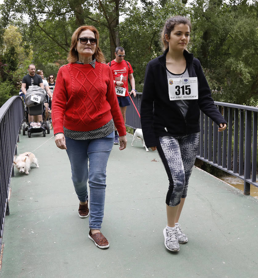 Fotos: Marcha perruna en Palencia