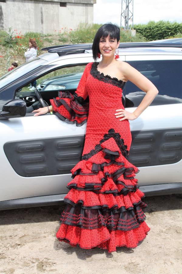 Fotos: Feria Flamenca de Nava de la Asunción