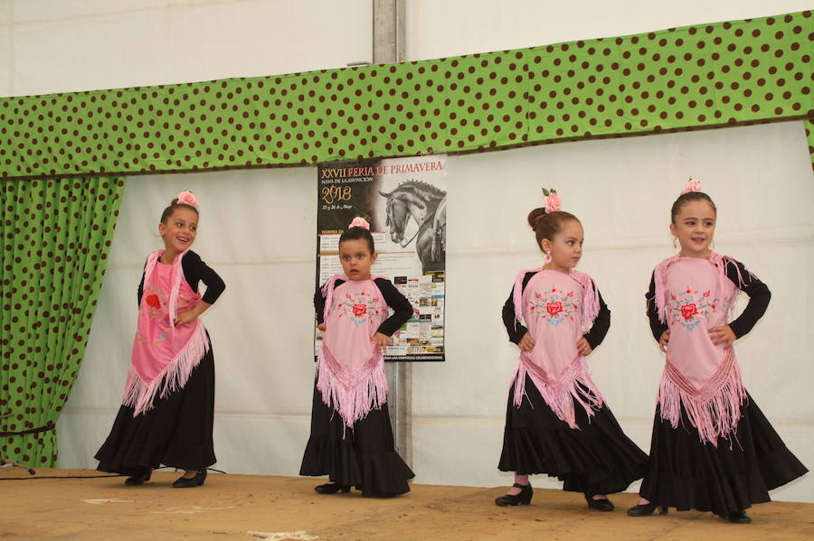 Fotos: Feria Flamenca de Nava de la Asunción