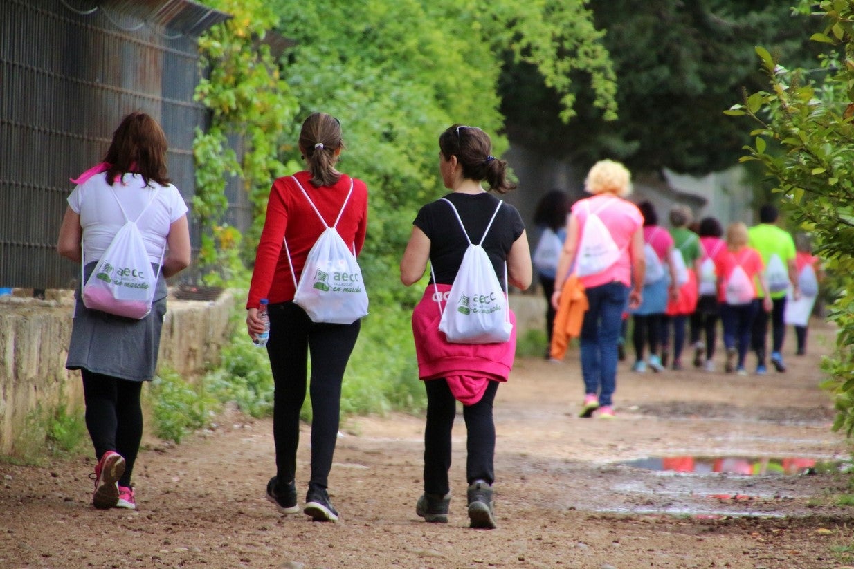 La marcha transcurrió junto al Canal de Castilla, 14 kilómetros de distancia en un recorrido de ida y vuelta por los caminos de sirga, hasta el conocido como puente de Moral