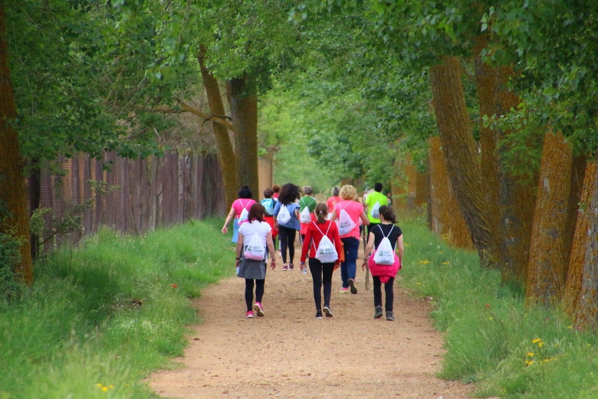 La marcha transcurrió junto al Canal de Castilla, 14 kilómetros de distancia en un recorrido de ida y vuelta por los caminos de sirga, hasta el conocido como puente de Moral