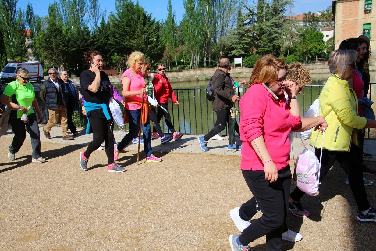 La marcha transcurrió junto al Canal de Castilla, 14 kilómetros de distancia en un recorrido de ida y vuelta por los caminos de sirga, hasta el conocido como puente de Moral