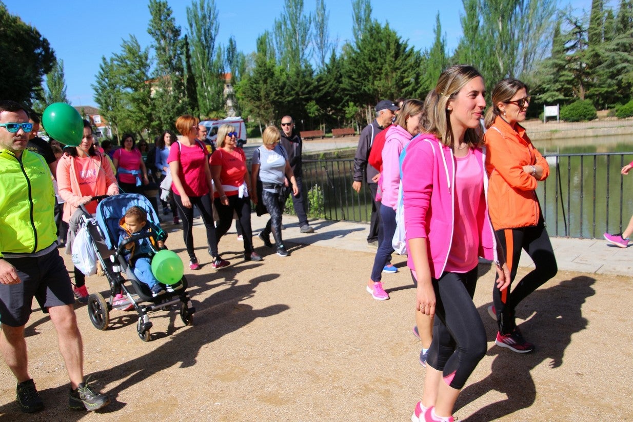 La marcha transcurrió junto al Canal de Castilla, 14 kilómetros de distancia en un recorrido de ida y vuelta por los caminos de sirga, hasta el conocido como puente de Moral