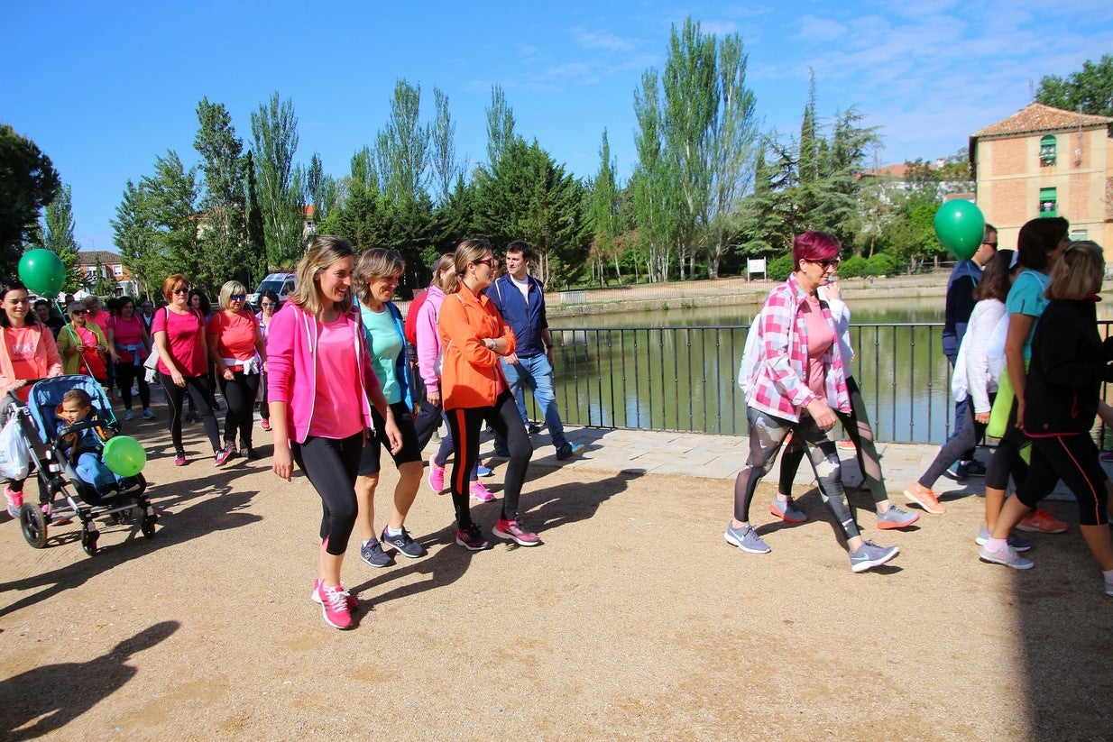 La marcha transcurrió junto al Canal de Castilla, 14 kilómetros de distancia en un recorrido de ida y vuelta por los caminos de sirga, hasta el conocido como puente de Moral