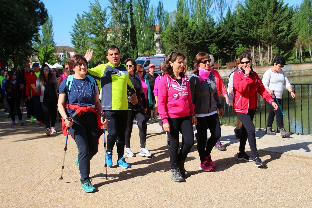 La marcha transcurrió junto al Canal de Castilla, 14 kilómetros de distancia en un recorrido de ida y vuelta por los caminos de sirga, hasta el conocido como puente de Moral