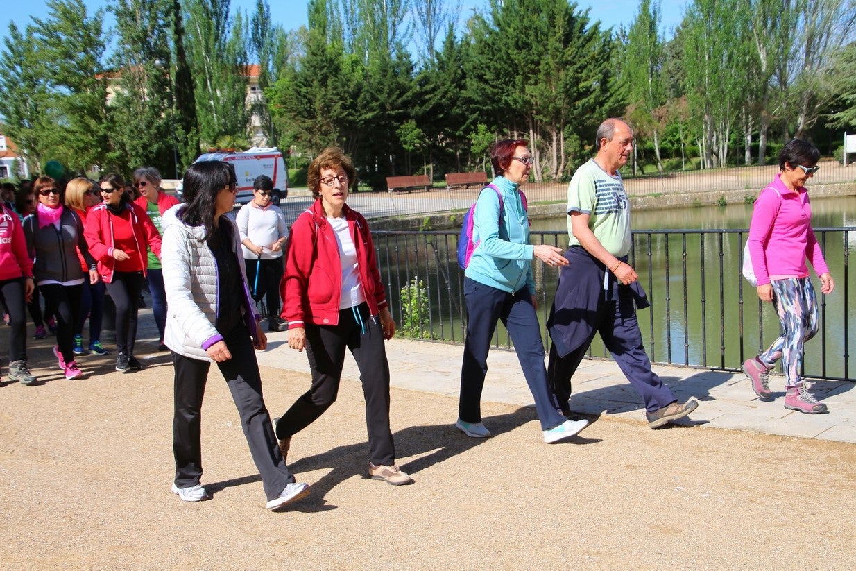 La marcha transcurrió junto al Canal de Castilla, 14 kilómetros de distancia en un recorrido de ida y vuelta por los caminos de sirga, hasta el conocido como puente de Moral