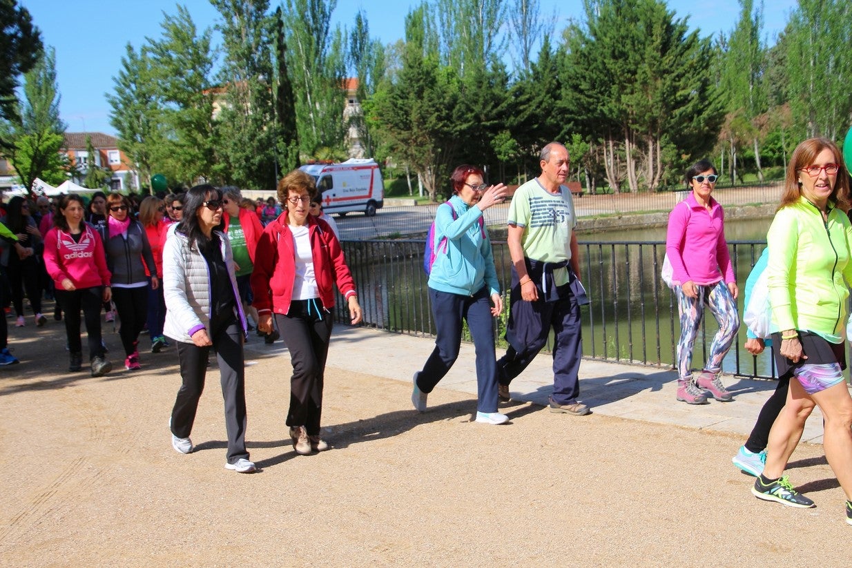 La marcha transcurrió junto al Canal de Castilla, 14 kilómetros de distancia en un recorrido de ida y vuelta por los caminos de sirga, hasta el conocido como puente de Moral