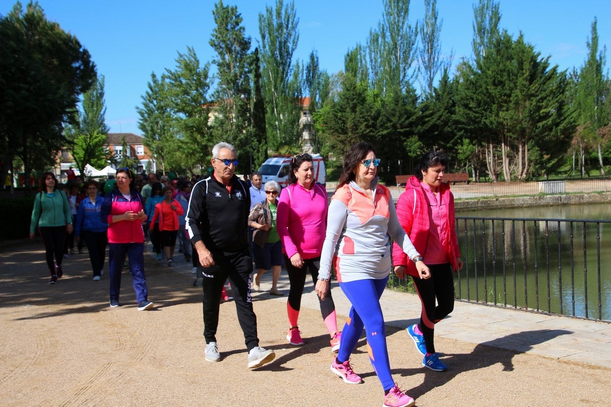 La marcha transcurrió junto al Canal de Castilla, 14 kilómetros de distancia en un recorrido de ida y vuelta por los caminos de sirga, hasta el conocido como puente de Moral