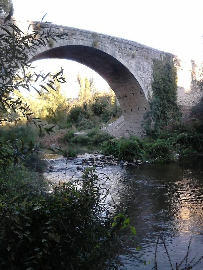 Puente de Megeces. Se construyó entre 1515 y 1516 sobre el río Cega por mandato de Juan Díaz de Mirena, arcipreste de Cogeces. Sobre él pasa la Cañada Real Burgalesa, que enlazaba Extremadura con las Montañas de Burgos y el camino Real Salamanca-Zaragoza. Pésimo estado de conservación, con argamasa perdida en las zonas bajas, sillares rotos en el arco, falta de mampuesto, grietas.