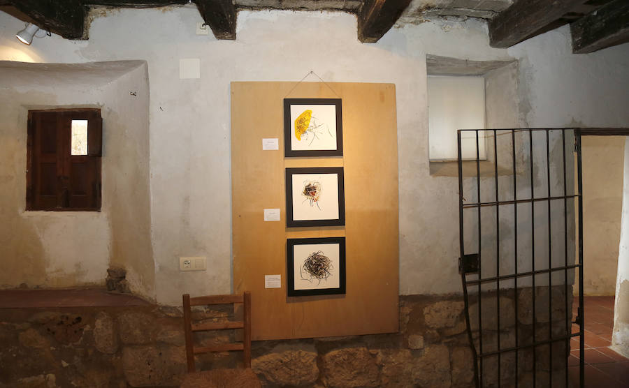 Fotos: Museo Narciso Maisterra en Fuentes de Valdepero