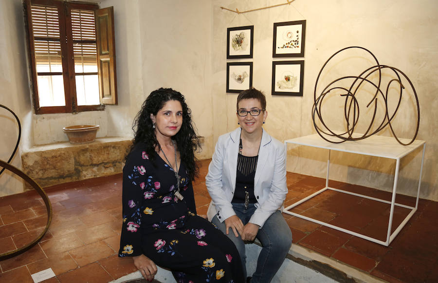 Fotos: Museo Narciso Maisterra en Fuentes de Valdepero