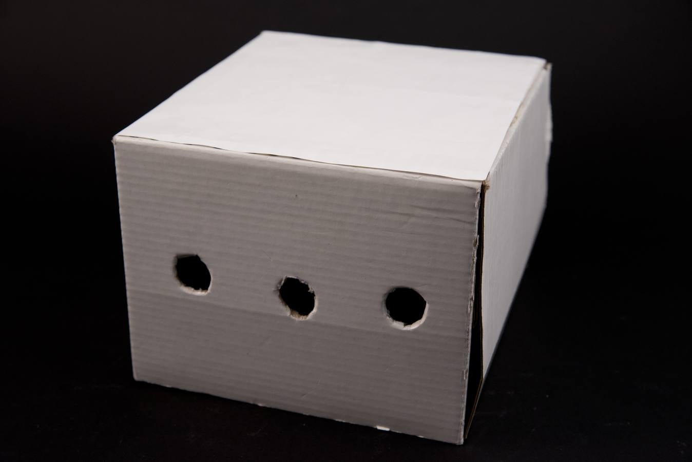 Puerto Chico. Esencia. 