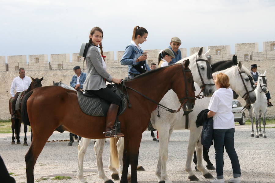 Fotos: Feria del caballo en Cuéllar