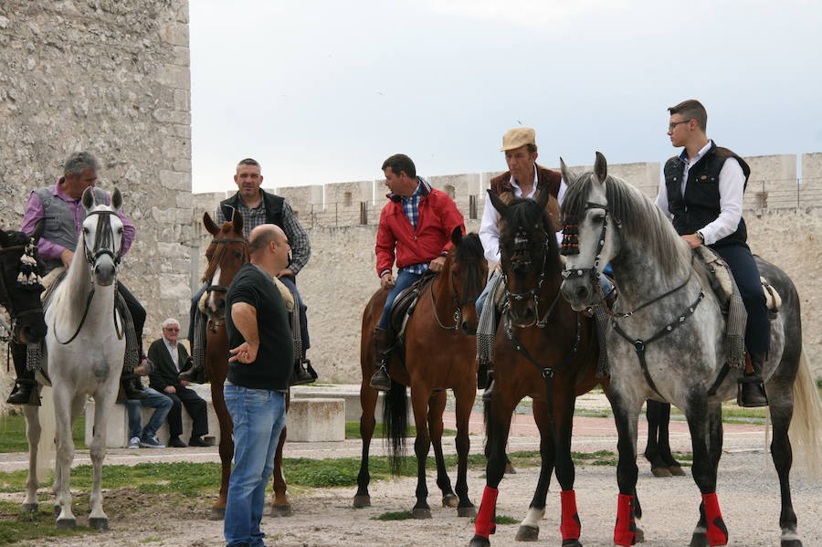 Fotos: Feria del caballo en Cuéllar