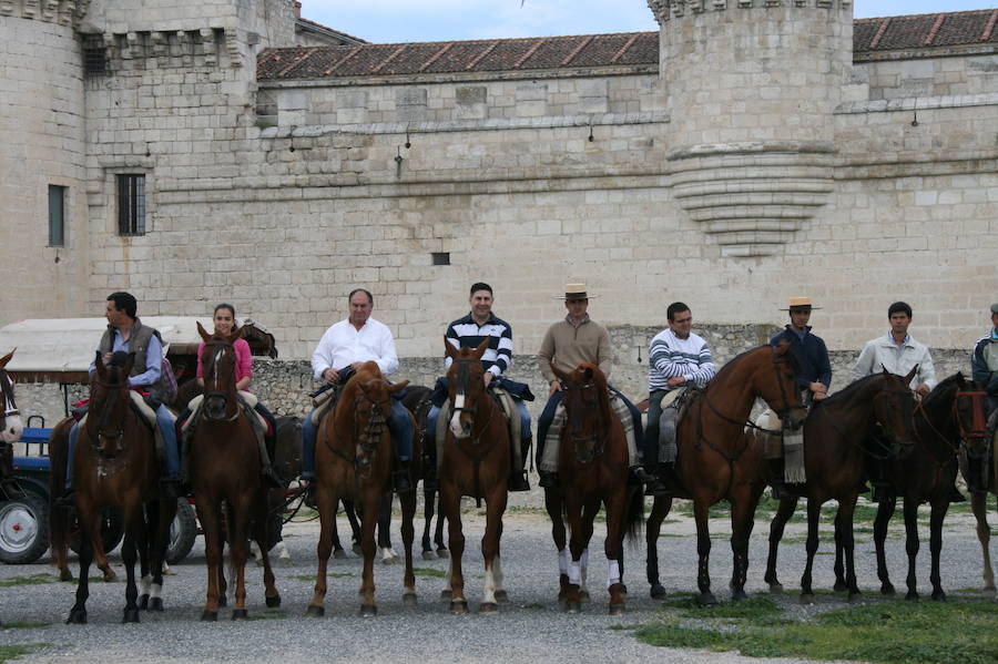 Fotos: Feria del caballo en Cuéllar
