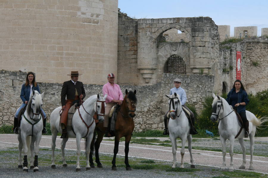 Fotos: Feria del caballo en Cuéllar
