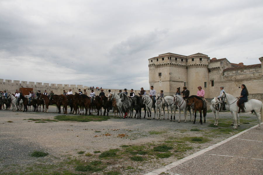 Fotos: Feria del caballo en Cuéllar
