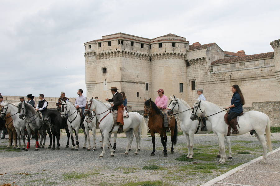 Fotos: Feria del caballo en Cuéllar
