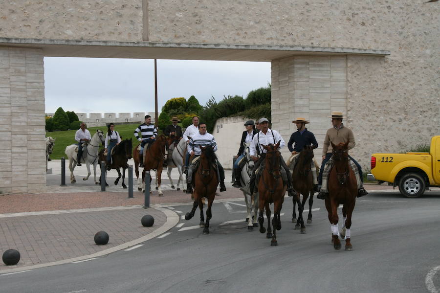 Fotos: Feria del caballo en Cuéllar