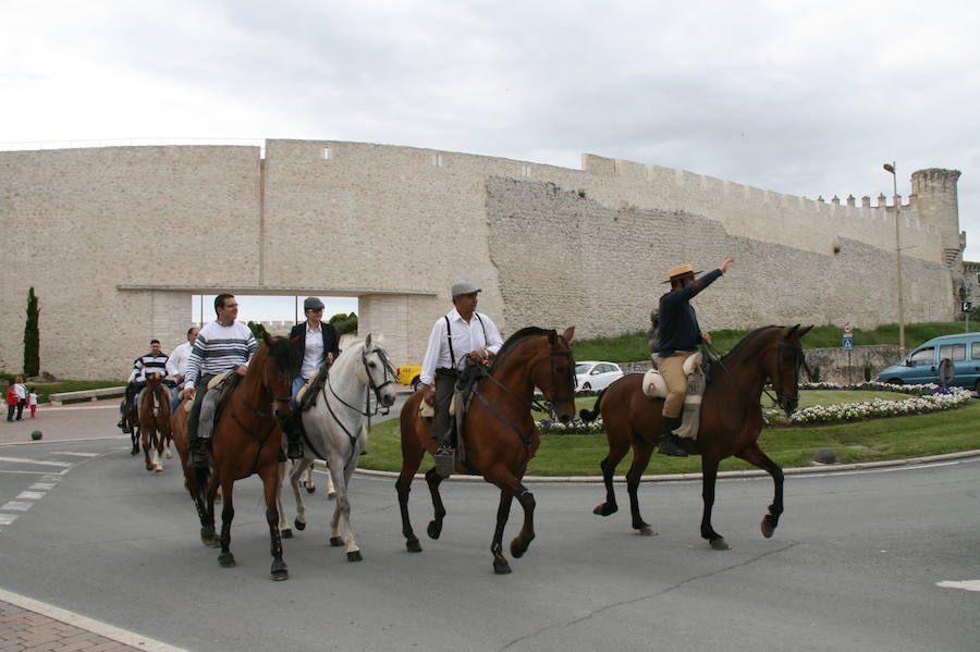 Fotos: Feria del caballo en Cuéllar