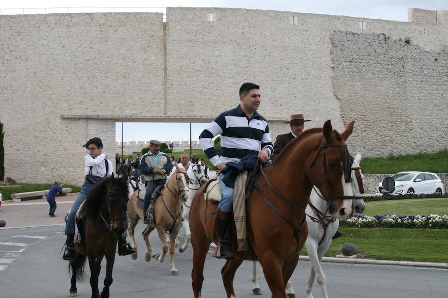 Fotos: Feria del caballo en Cuéllar