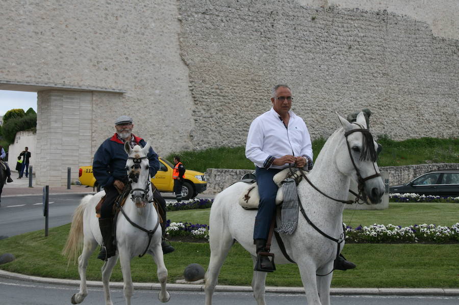 Fotos: Feria del caballo en Cuéllar