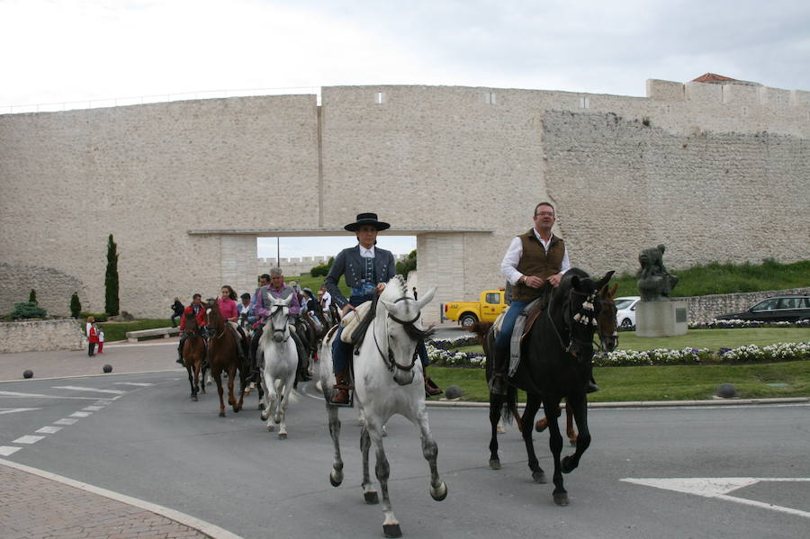 Fotos: Feria del caballo en Cuéllar