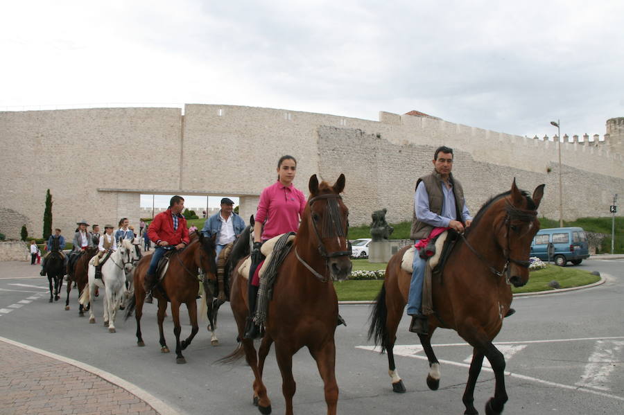 Fotos: Feria del caballo en Cuéllar