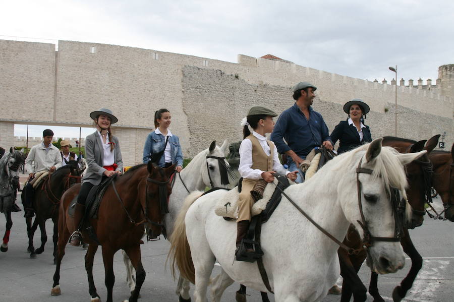 Fotos: Feria del caballo en Cuéllar