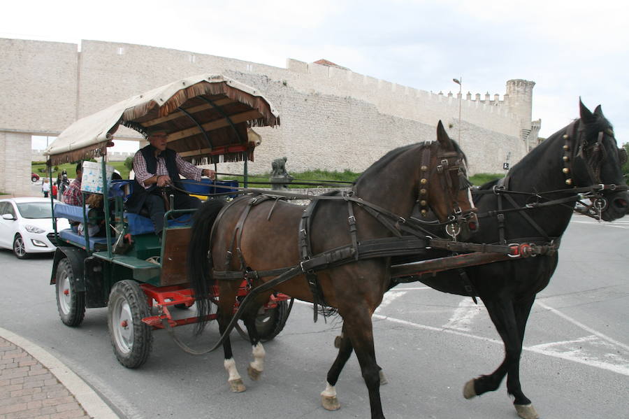 Fotos: Feria del caballo en Cuéllar