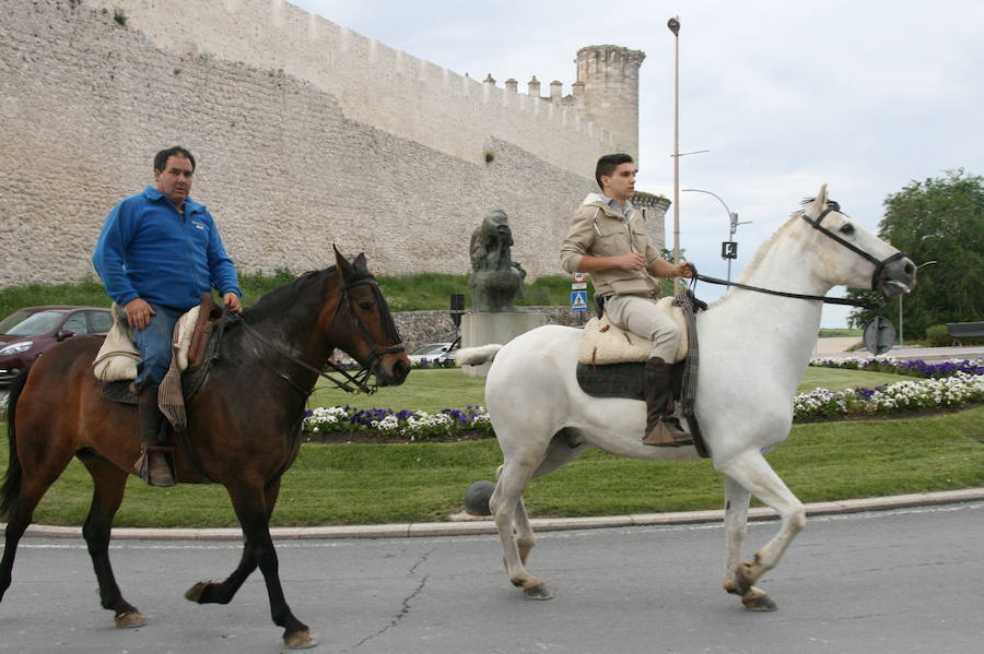 Fotos: Feria del caballo en Cuéllar