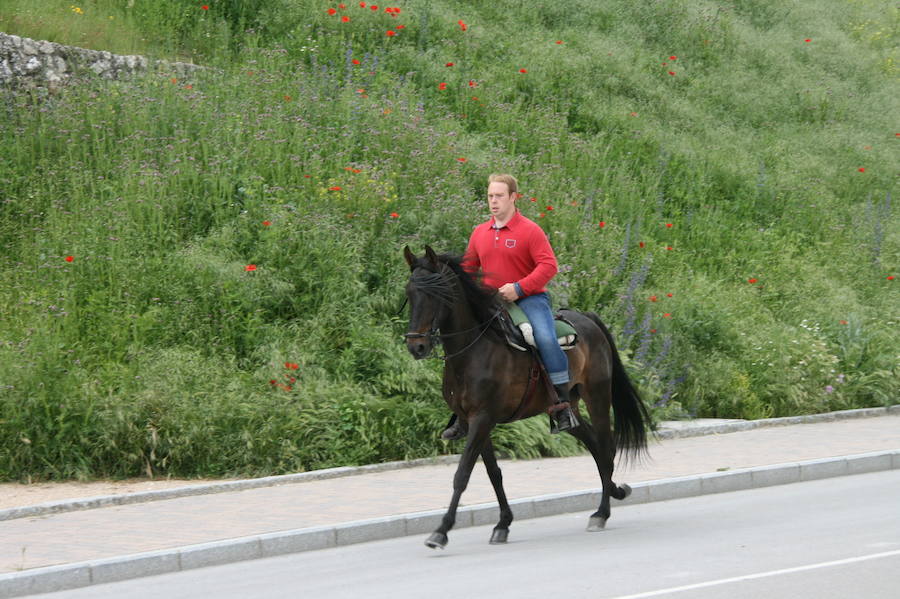Fotos: Feria del caballo en Cuéllar