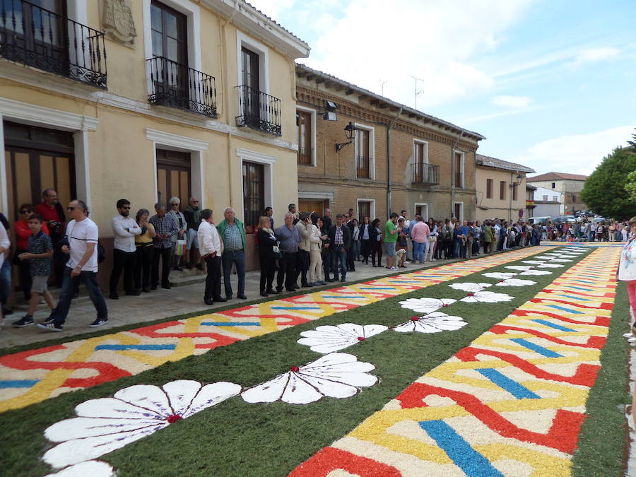 Fotos: Corpus Christi en Carrión