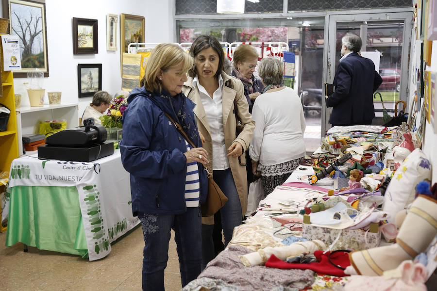 Fotos: XVI Mercadillo Solidario de la AECC de Palencia