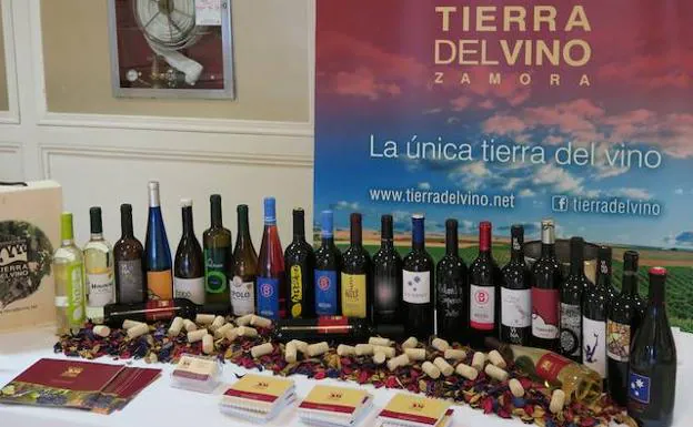 Los vinos de la DO Tierra del Vino de Zamora que se dieron a catar en Madrid.