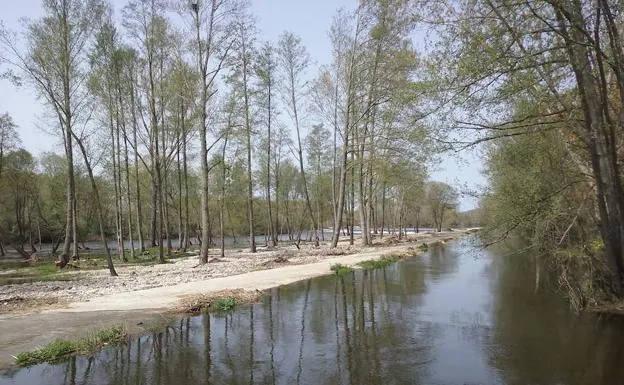Imagen del río Tormes a su paso por Sieteiglesias tras el acondicionamiento acometido por la CHD.