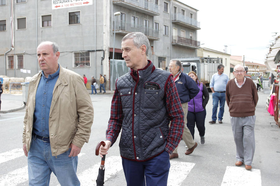 Fotos: Feria Agroganadera de Alba de Tormes