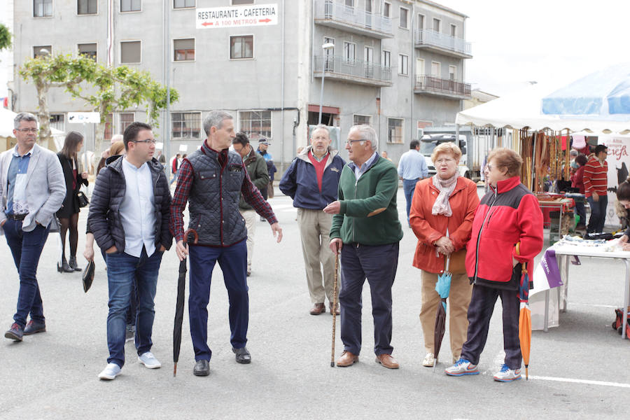 Fotos: Feria Agroganadera de Alba de Tormes