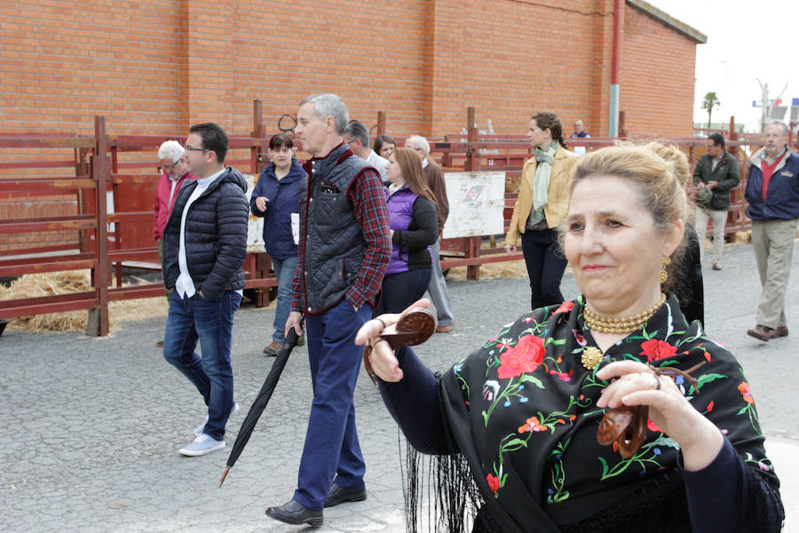 Fotos: Feria Agroganadera de Alba de Tormes