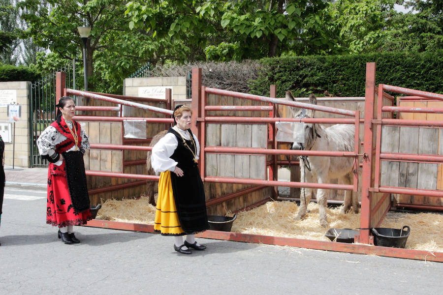 Fotos: Feria Agroganadera de Alba de Tormes