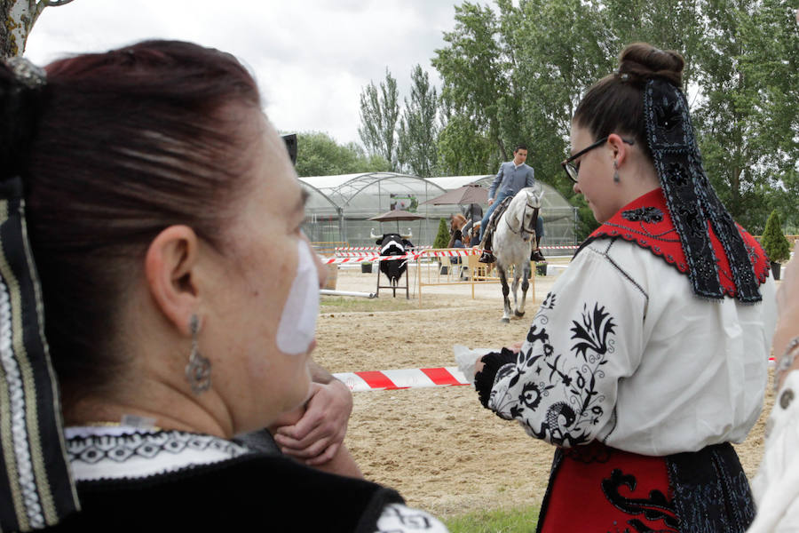 Fotos: Feria Agroganadera de Alba de Tormes