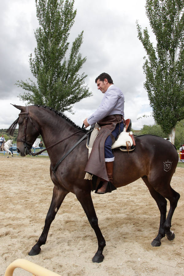 Fotos: Feria Agroganadera de Alba de Tormes