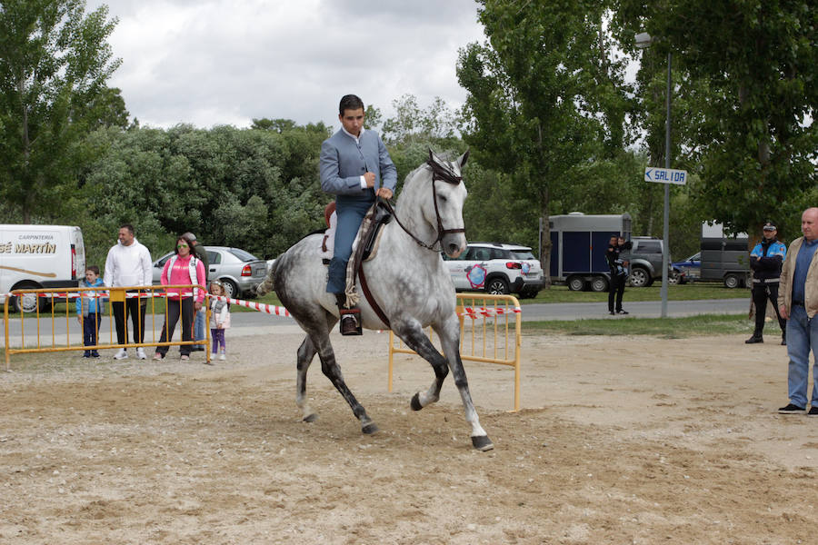 Fotos: Feria Agroganadera de Alba de Tormes