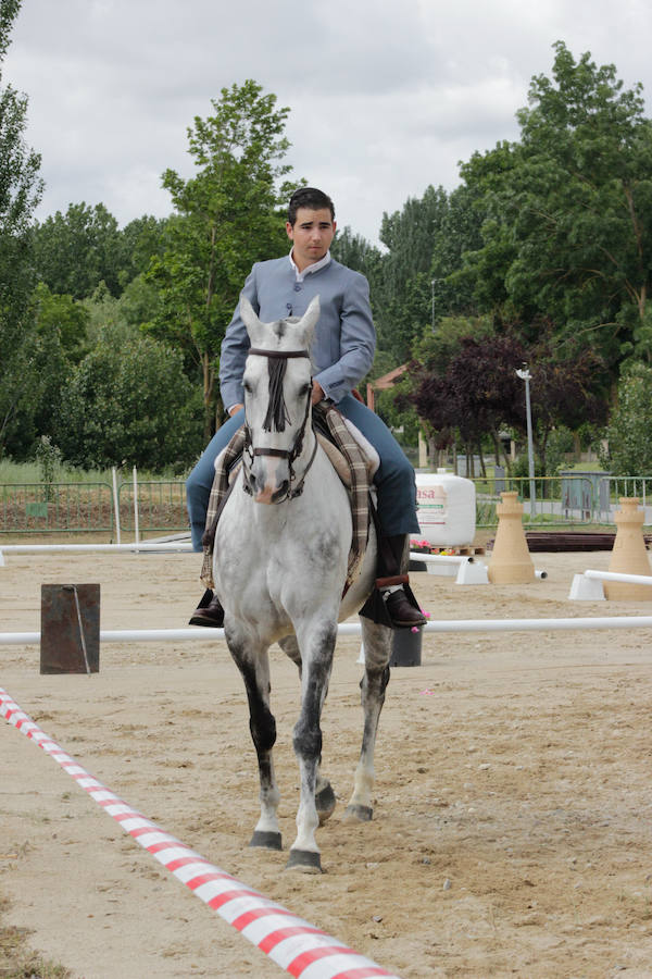 Fotos: Feria Agroganadera de Alba de Tormes
