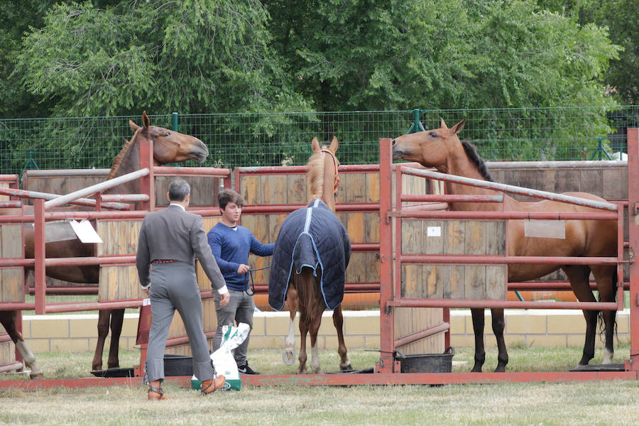 Fotos: Feria Agroganadera de Alba de Tormes