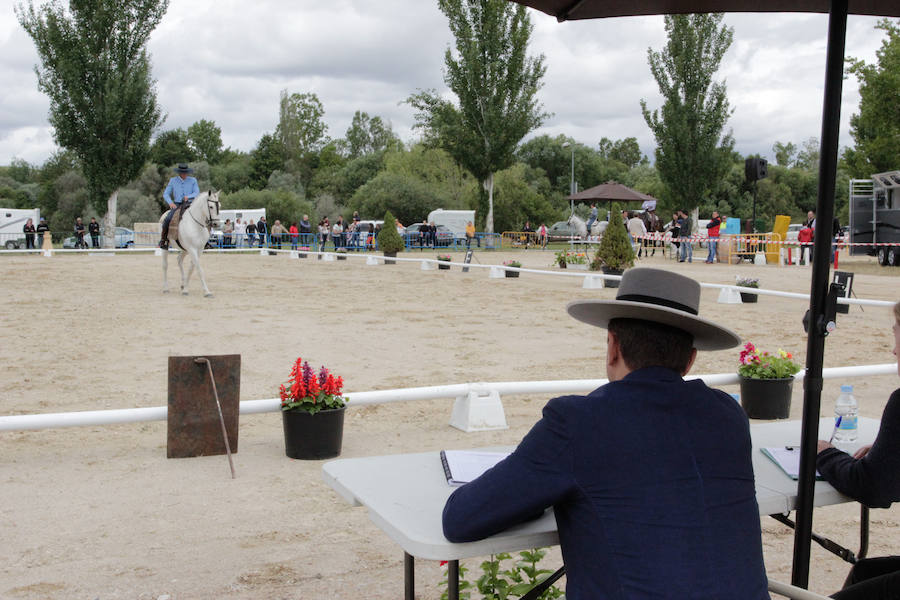 Fotos: Feria Agroganadera de Alba de Tormes