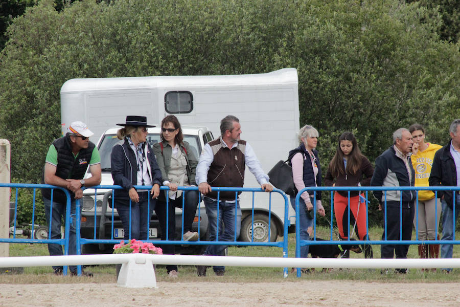 Fotos: Feria Agroganadera de Alba de Tormes